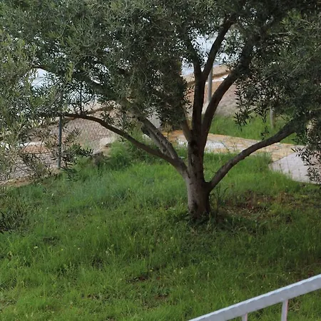 Appartement Marija - - First Line To The Sea