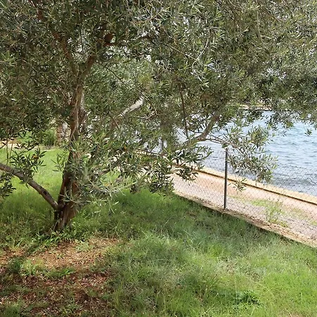 Marija - - First Line To The Sea