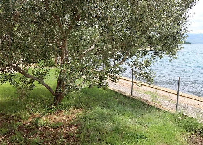 Marija - - First Line To The Sea