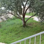 Marija - - First Line To The Sea Maslenica