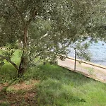 Marija - - First Line To The Sea